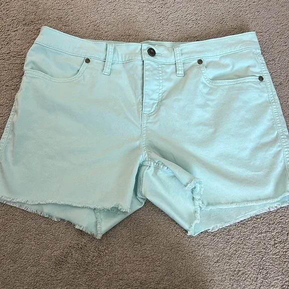 CARVE DESIGNS Shorts blue light weight size 10 - Picture 2 of 5